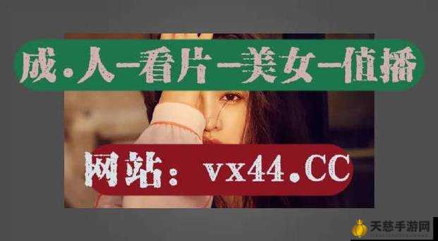 仙踪林视频欢迎你贰佰网:呈现精彩无限的视频内容