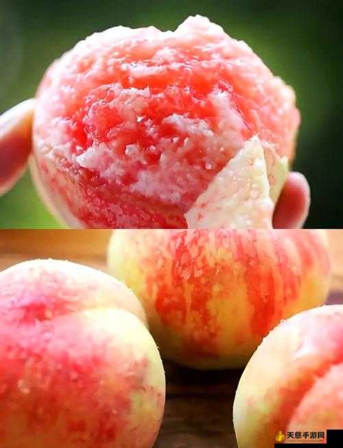 日本水蜜桃品种岭风:甜蜜多汁口感佳的优质水果代表