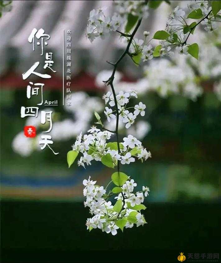 亭亭玉立国色天香四月天:邂逅最美人间的芳菲画卷