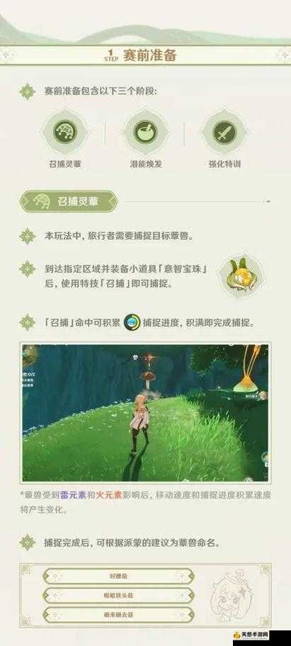 原神智巧灵蕈大竞逐第三天攻略:5大关键步骤与3个隐藏技巧全解析